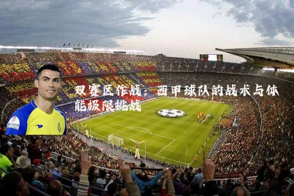 双赛区作战：西甲球队的战术与体能极限挑战